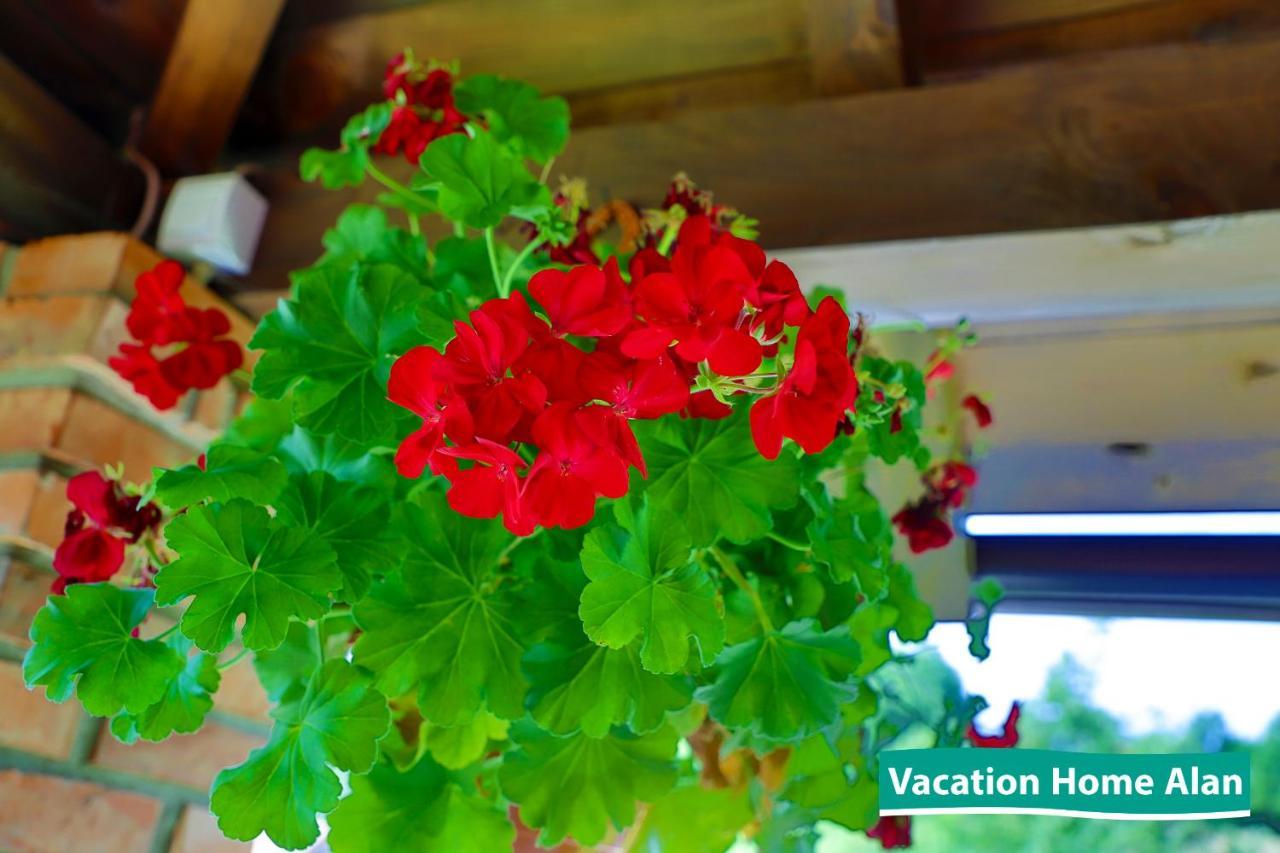 Vacation Home Alan 2 Кулен Вакуф Экстерьер фото