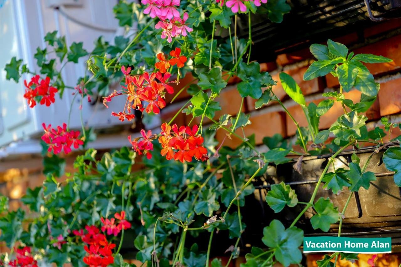 Vacation Home Alan 2 Кулен Вакуф Экстерьер фото